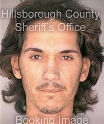 Sanchez Emanuel - Hillsborough County, FL 