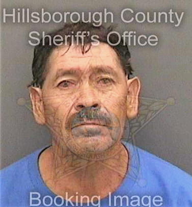 Contreras-Montejano Enrique - Hillsborough County, FL 