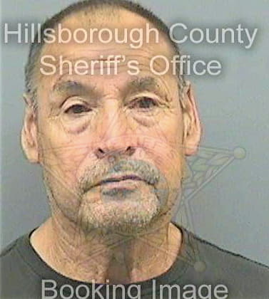 Mercadohernandez Alfonso - Hillsborough County, FL 
