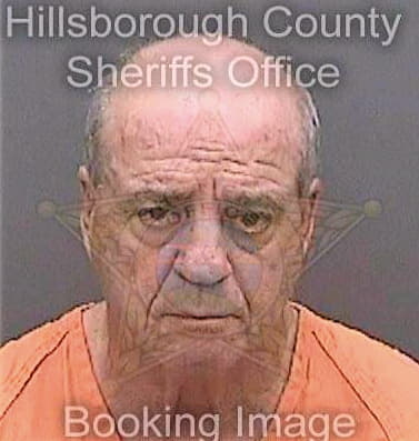 Medinadiaz Pablo - Hillsborough County, FL 