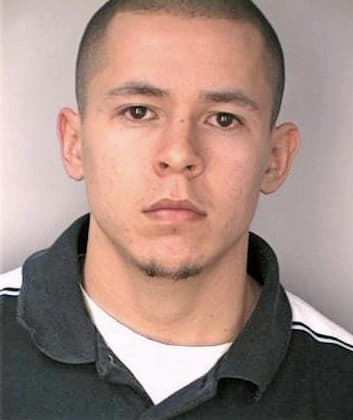 Botello Ivan - Hillsborough County, FL 