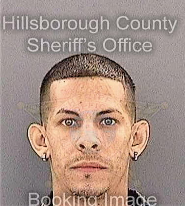 Veguillaperez Luis - Hillsborough County, FL 