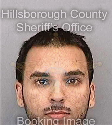 Martinez Hector - Hillsborough County, FL 