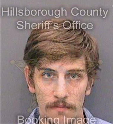 Bergendale Richard - Hillsborough County, FL 