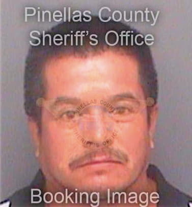 Dorantes Felipe - Pinellas County, FL 