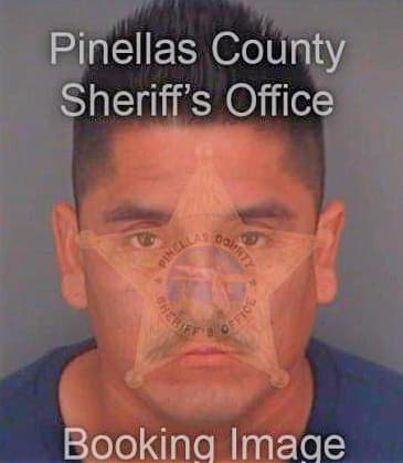 Garcia Ramiro - Pinellas County, FL 