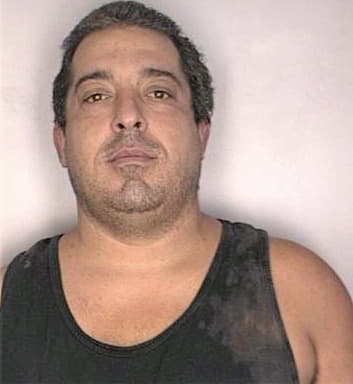 Gonzalez Anthony - Hillsborough County, FL 