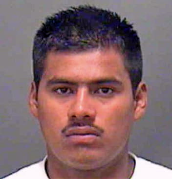 Ortiz Silvestre - Mecklenburg County, NC 