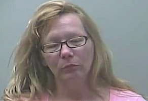 Armenta Leeann - Midland County, MI 