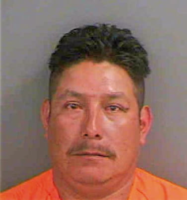 Bartolon Jeromino - Collier County, FL 