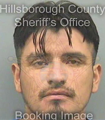 Hernandez Avander - Hillsborough County, FL 
