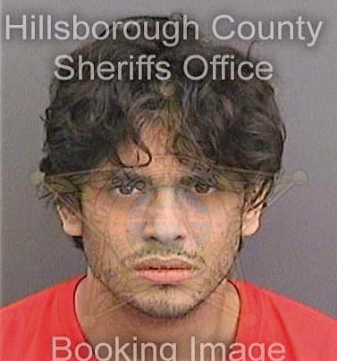 Blazzio Rodrigo - Hillsborough County, FL 
