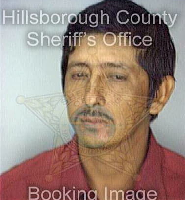 Medorio Franciso - Hillsborough County, FL 