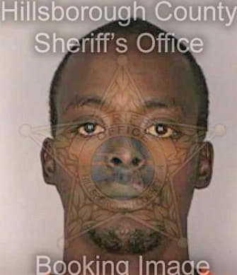 Bowman Reginald - Hillsborough County, FL 