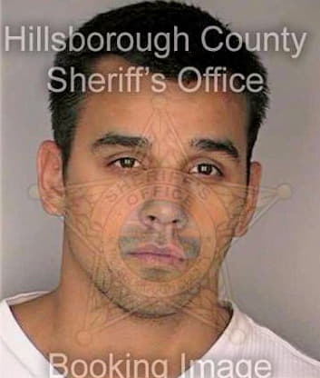 Bommarito Anthony - Hillsborough County, FL 