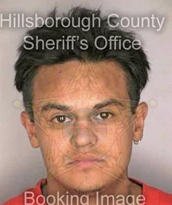 Velezdiaz Ernesto - Hillsborough County, FL 