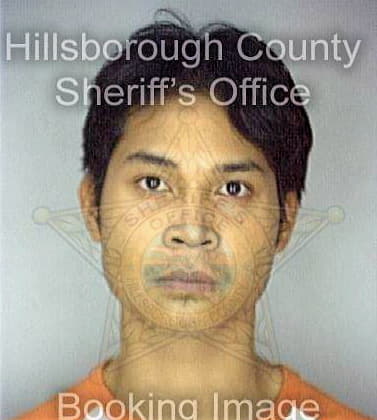 Perez Joseph - Hillsborough County, FL 