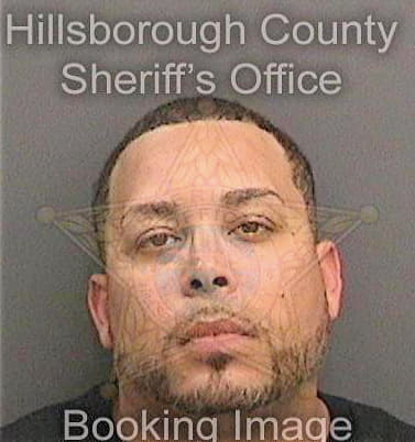 Santiago Dewel - Hillsborough County, FL 