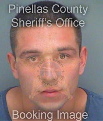 Davidson Gary - Pinellas County, FL 