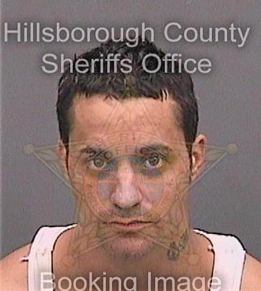 Mccullers Kenneth - Hillsborough County, FL 