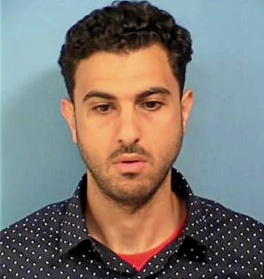 Gomaa Ehab - DuPage County, IL 