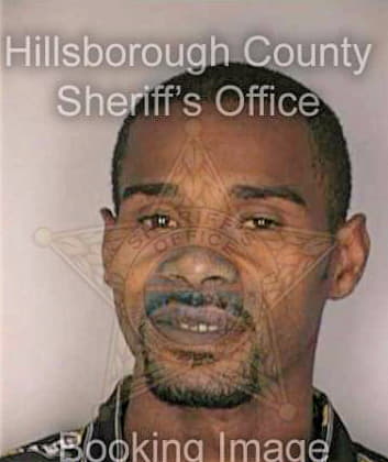 Boide David - Hillsborough County, FL 