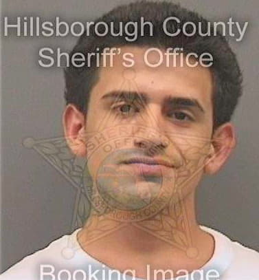 Perez Eduardo - Hillsborough County, FL 