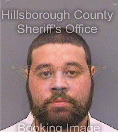 Shannon Thomas - Hillsborough County, FL 