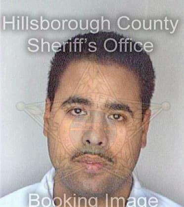 Colon Michael - Hillsborough County, FL 