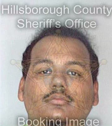 Gonzalezpadilla Ricardo - Hillsborough County, FL 