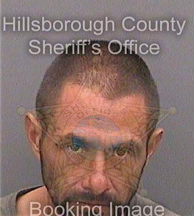 Garcia Mauricio - Hillsborough County, FL 