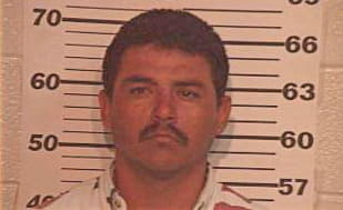 Ramirez Luis - Hidalgo County, TX 