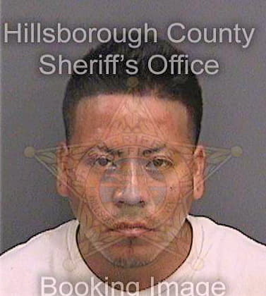 Josejose Salvador - Hillsborough County, FL 