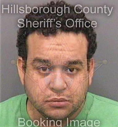 Fontanez Juan - Hillsborough County, FL 