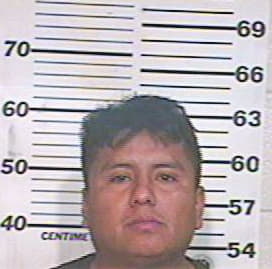 Del-Angel Omar - Hidalgo County, TX 