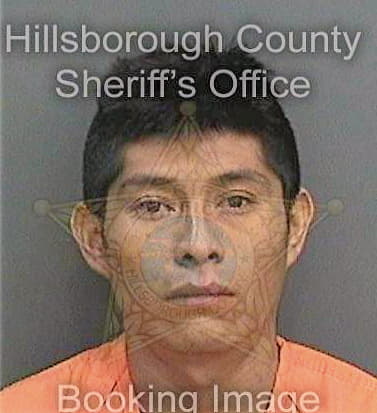 Santiagomarcos Miguel - Hillsborough County, FL 