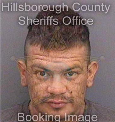 Meza Alejandro - Hillsborough County, FL 