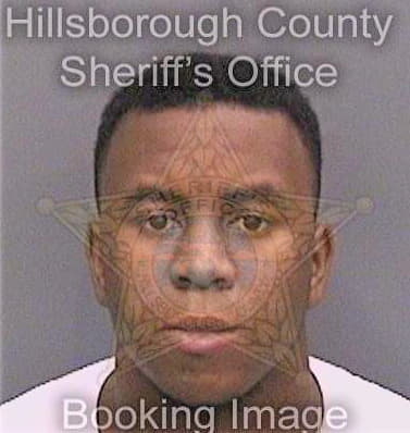 Mercer Dique - Hillsborough County, FL 