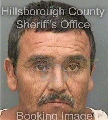 Cardona Arturo - Hillsborough County, FL 