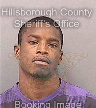 Levy Steven - Hillsborough County, FL 