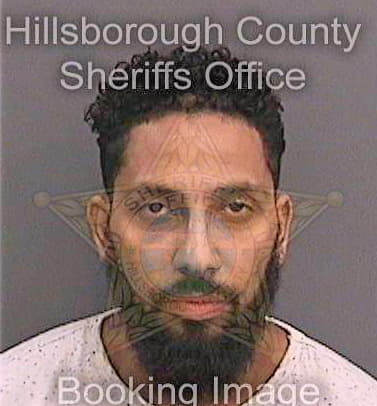 Velez Jorge - Hillsborough County, FL 