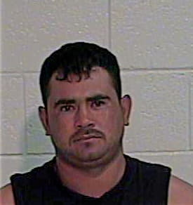 Hernandez Armando - Hidalgo County, TX 