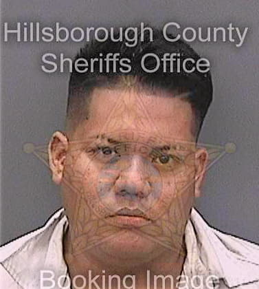 Perezortiz Brayan - Hillsborough County, FL 