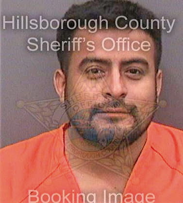 Tomasjimenez Lucio - Hillsborough County, FL 