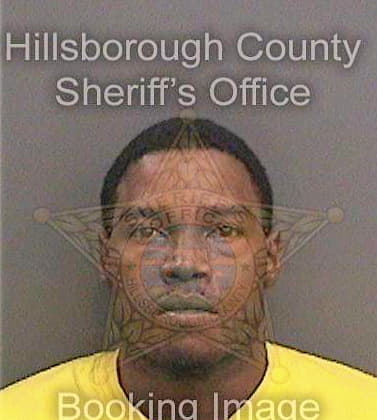 Richardson Lewis - Hillsborough County, FL 