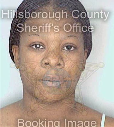 Lee Tesha - Hillsborough County, FL 