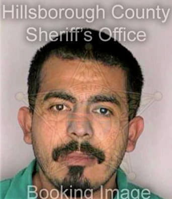 Medina Oscar - Hillsborough County, FL 
