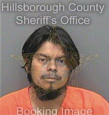 Dioniciodeleon Pedro - Hillsborough County, FL 