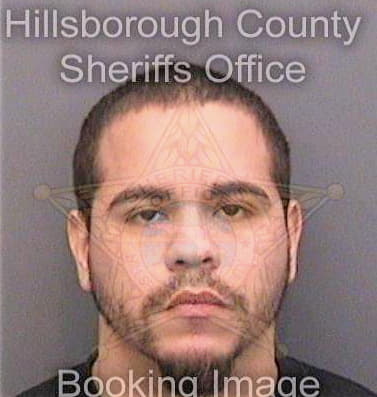 Martinez Raymond - Hillsborough County, FL 