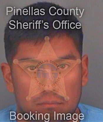 Perez Jesuscarlos - Pinellas County, FL 